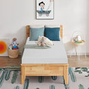 Furniture of America Coreopsis DM520-T 8" Twin Memory Foam Mattress IMAGE 9