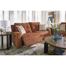 Signature Design by Ashley Danum 3880781C 2 Seat Reclining Sofa IMAGE 10