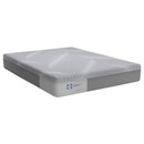 Sealy Medina Firm Foam Mattress (Split California King) IMAGE 2