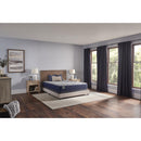 Sealy Grayson Firm Tight Top Mattress (Full) IMAGE 9