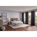 Sealy Lane Medium Foam Mattress (Twin XL) IMAGE 10