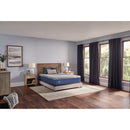 Sealy Benedict Medium Foam Mattress (California King) IMAGE 10