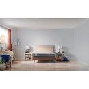 Sealy Paisley Foam Tight Top Mattress (Queen) IMAGE 1