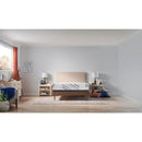 Sealy Provision Medium Foam Mattress (Twin XL) IMAGE 1