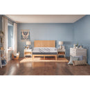 Sealy Telford Medium Foam Mattress (King) IMAGE 1