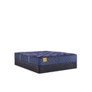 Sealy Forsyth Park Medium Tight Top Mattress (California King) IMAGE 9