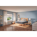 Sealy Beckley Foam Mattress (Twin) IMAGE 8