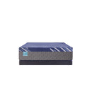 Sealy Royal Oaks Soft Hybrid Mattress (King) IMAGE 3