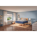 Sealy Cathedral Cove Medium Foam Mattress (California King) IMAGE 9