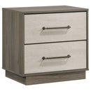 Coaster Furniture Fenwick 224982 2-Drawer Nightstand Bedside Table - Grey Oak IMAGE 1