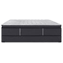 Sealy Montagne Plush Euro Pillow Top Mattress Set 5" (Twin XL) IMAGE 3