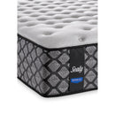 Sealy Easthaven Tight Top Mattress Set 5" (Full) IMAGE 6
