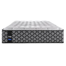 Sealy Easthaven Tight Top Mattress Set 5" (King) IMAGE 5
